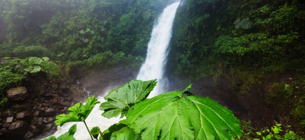 Majestic waterfall in the rainforest jungle of Costa Rica. Tropical hike.