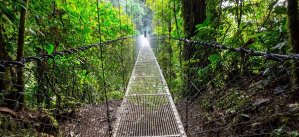 Radermacher Reisen - Hängebrücke - Costa Rica