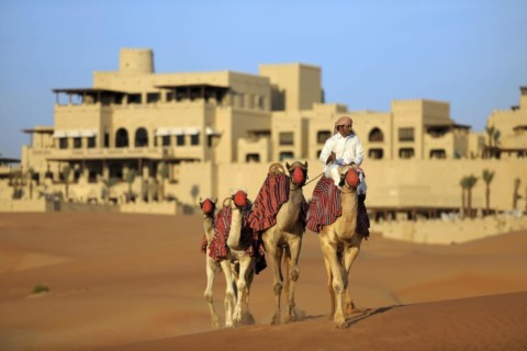Qasr Al Sarab - kamele