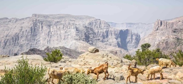 anantara_al_jabal_al_akhdar_anantara_cliff_pool_villa_ext_view_05_1920x1037