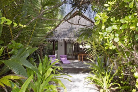 Coco Bodu Hithi - Dschungel private Villa