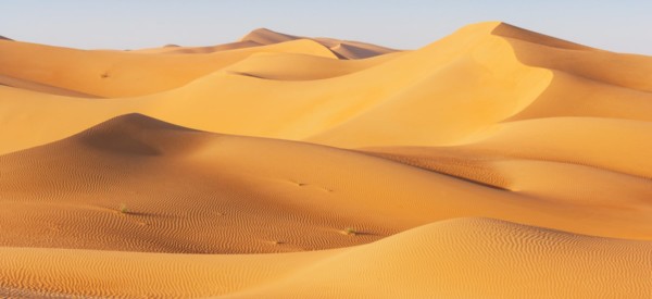 A dune landscape in the Rub al Khali or Empty Quarter. Straddling Oman, Saudi Arabia, the UAE and Yemen, this is the largest sand desert in the world.