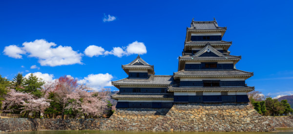 Matsumoto castle in cherry blossom season, Nagano, Japan