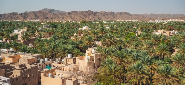 The historic fortress in the city of Nizwa, Oman.