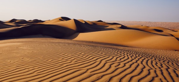 Sand dunes in desert landscape. Wahiba Sands, Sultanate of Oman.