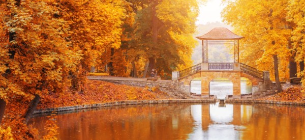 Japan Park Fluss mit Brücke