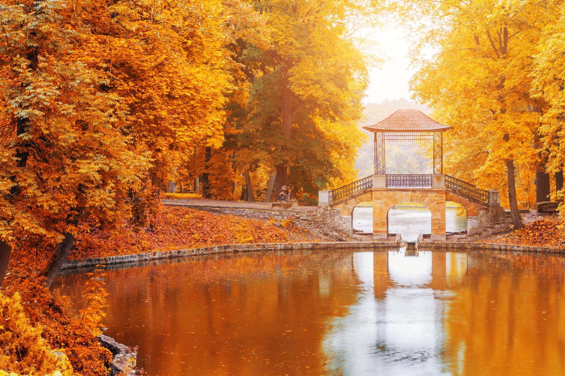 wooden-bridge-in-the-autumn-park-japan-autumn-2V87ZNM Japan Park Fluss mit Brücke