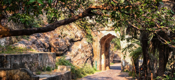 Scenic view of road ending in beautiful archway in Ranthambore national park, India. Zone 8