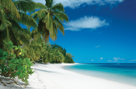 Desroches Island - einsamer Strand