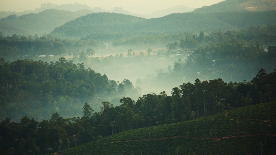 Sri Lanka  „Strahlend schönes Land”