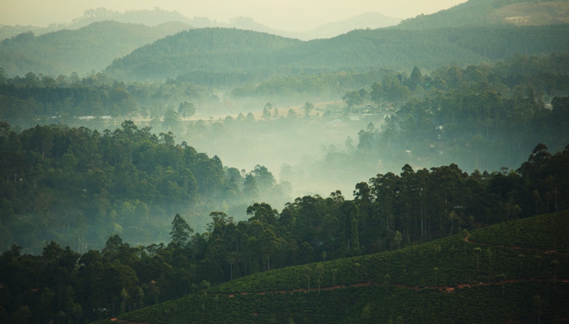 Sri Lanka  „Strahlend schönes Land”