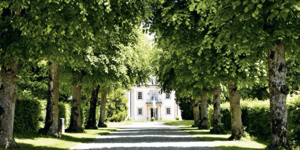 Wald und Schlosshotel Friedrichsruhe