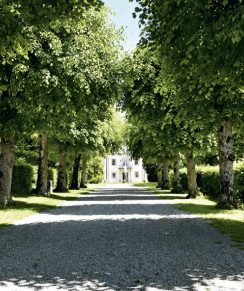 Wald und Schlosshotel Friedrichsruhe - Außenansicht