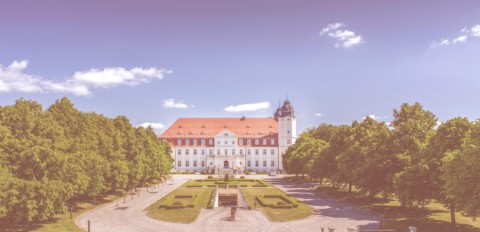 Schloss Fleesensee - Außenansicht mit Garten
