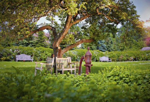 Die Bleiche Spreewald - Garten