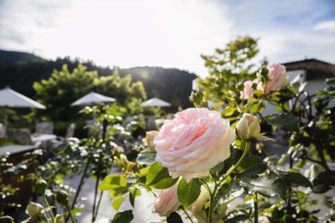 Traube Tonbach - Garten