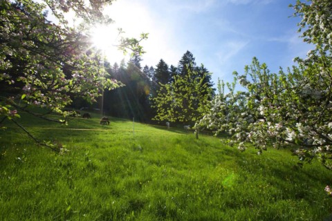 Traube Tonbach - Garten