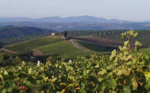 Rosewood Castiglion del Bosco - Blick in die toscana