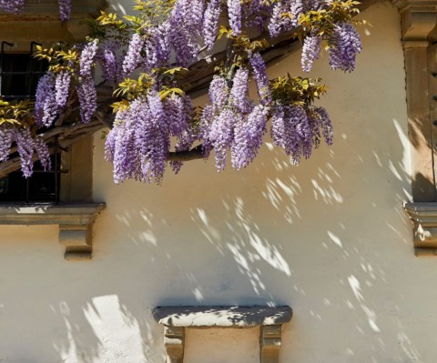 Belmond Villa San Michele - draußen