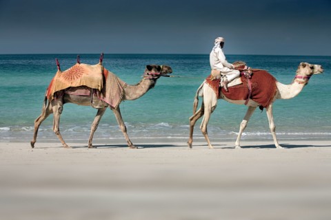 The Ritz-Carlton Dubai - kamel