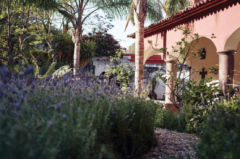 Casa de Sierra Nevada - Garten mit Lavendel
