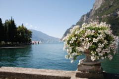 Lido Palace - Blick zum See