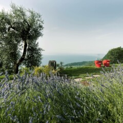 Lefay Resort & Spa Lago di Garda - Gärten