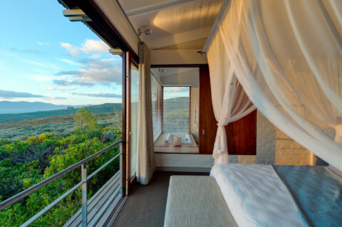 Grootbos - Forest Suite