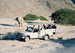 Hoanib Valley Camp - Safari