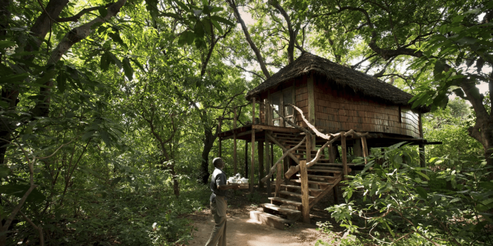 Lake Manyara Tree Lodge