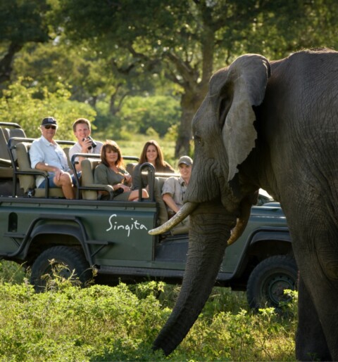 Castleton Luxury Lodge & Safari - Safari