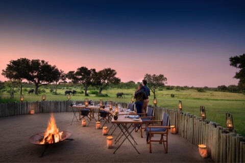 Castleton Luxury Lodge & Safari - Abendessen