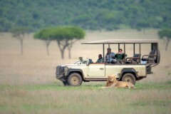 Singita Explore - Safari