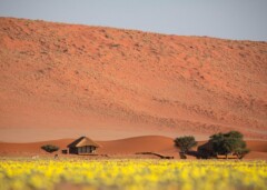 KWESSI DUNES - Wüstenlandschaft