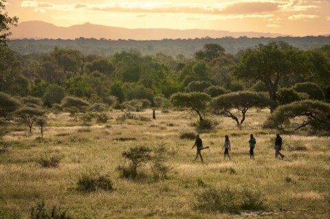 Lion Sands Narina Lodge - Jagd