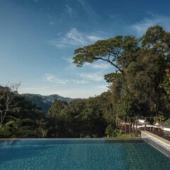 One&Only Nyungwe House - Pool