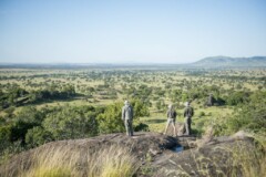 Singita Explore - Game