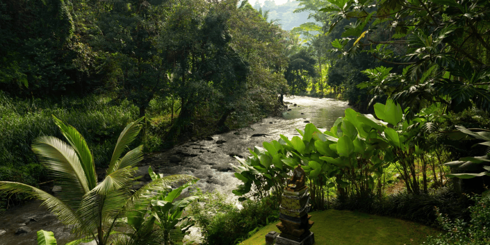 Mandapa, a Ritz-Carlton Reserve