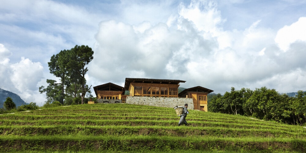 COMO UMA PUNAKHA