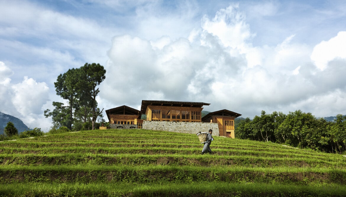 COMO UMA PUNAKHA